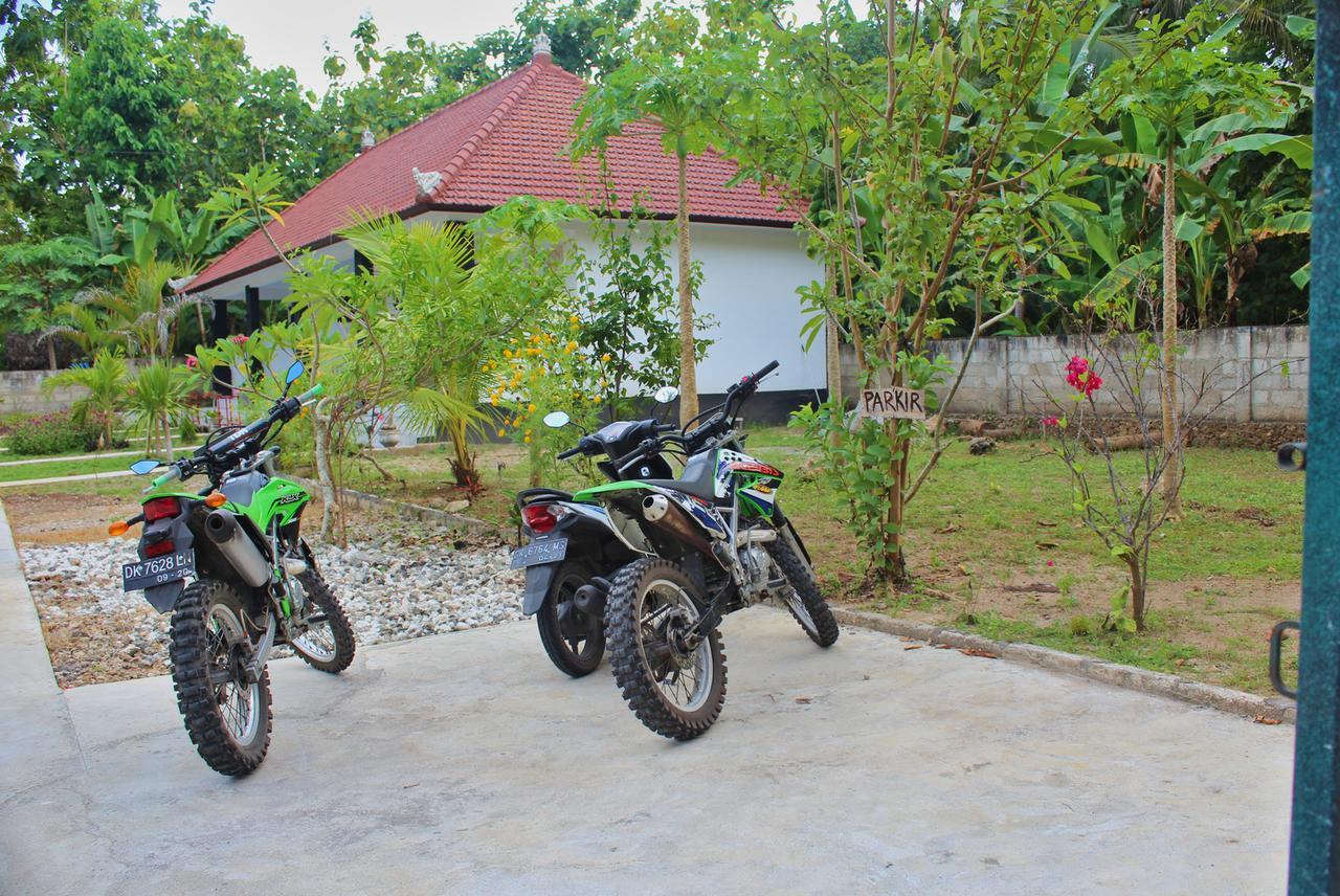 Nyuh Kadah Guest House Sakti Exteriér fotografie